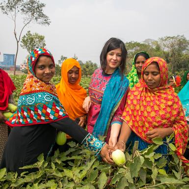 A group of women with bt eggplant in a field