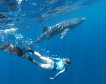 塞布丽娜戴利snorkling