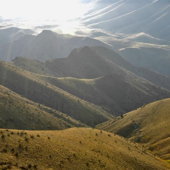 Hills with sparse bushes