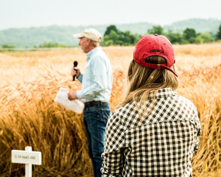 man standing in a field of grain observed by a women wearing a red hat