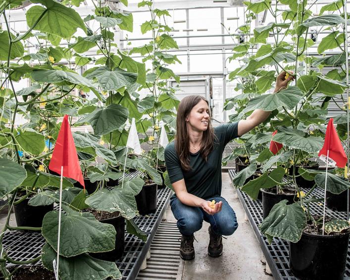 女人跪在植物旁